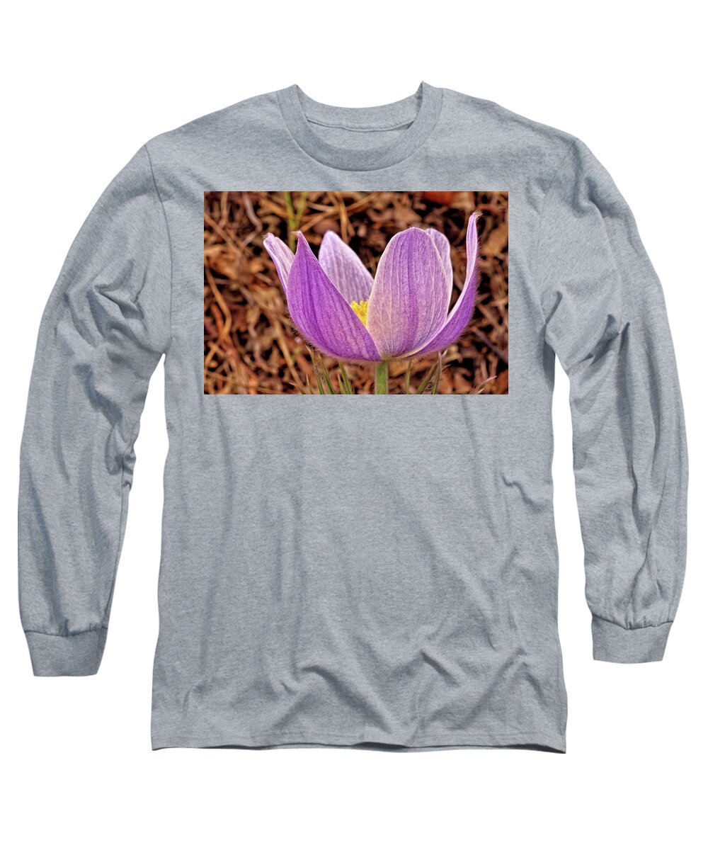 Flower Long Sleeve T-Shirt featuring the photograph Pasque Flower by Bob Falcone