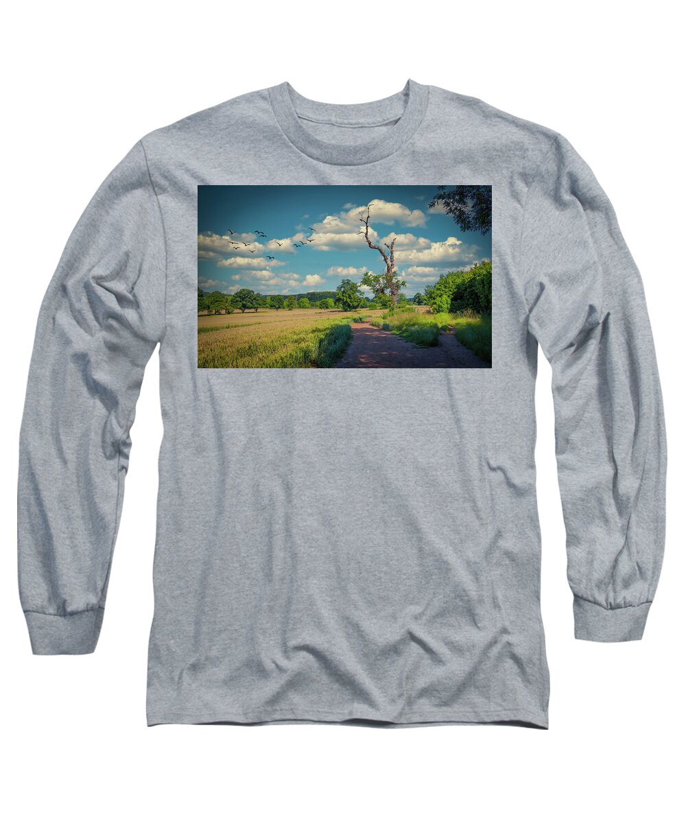 Landscape Long Sleeve T-Shirt featuring the photograph Path 2 by Remigiusz MARCZAK