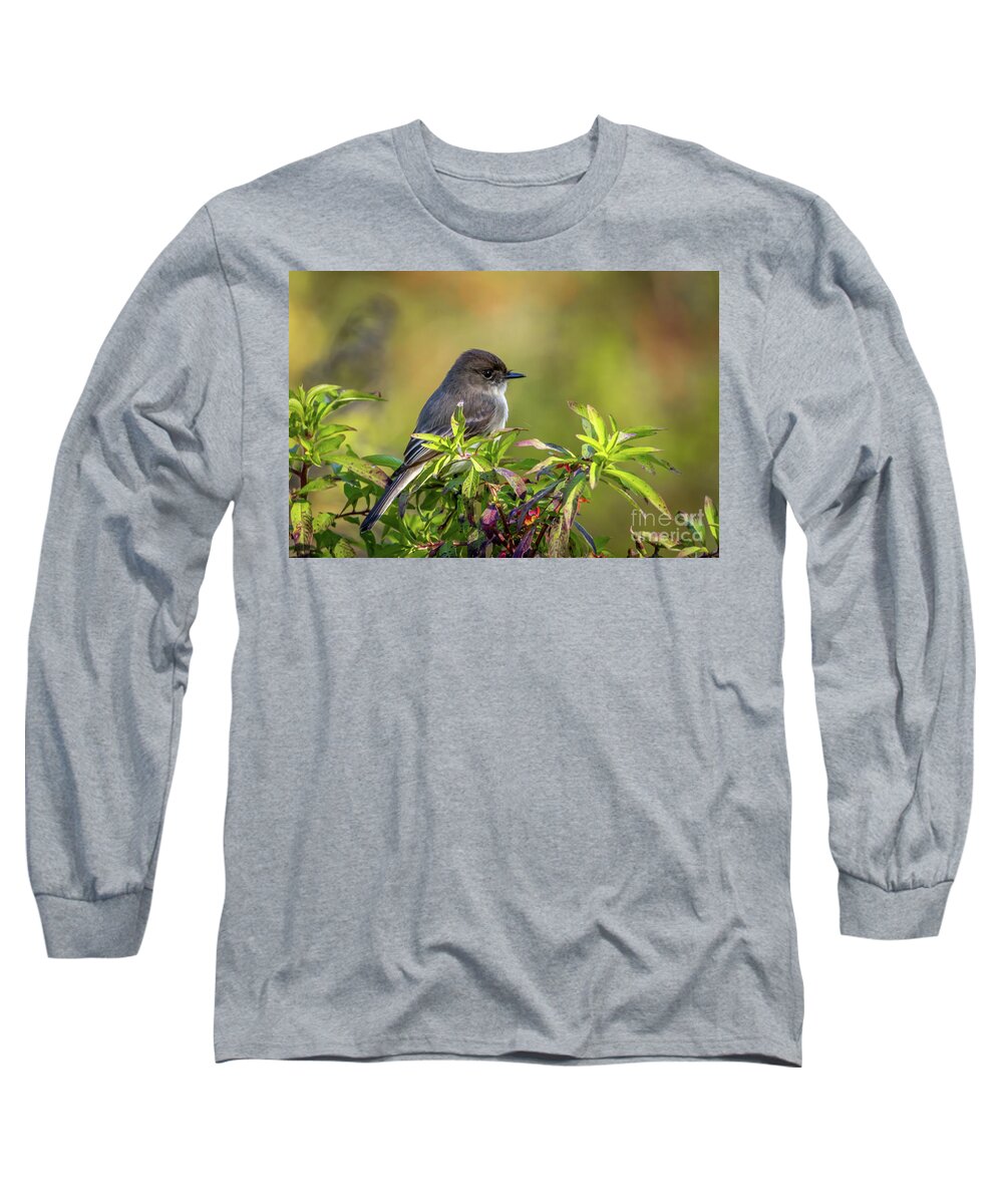 Phoebe Long Sleeve T-Shirt featuring the photograph Phoebe and Croton by Tom Claud