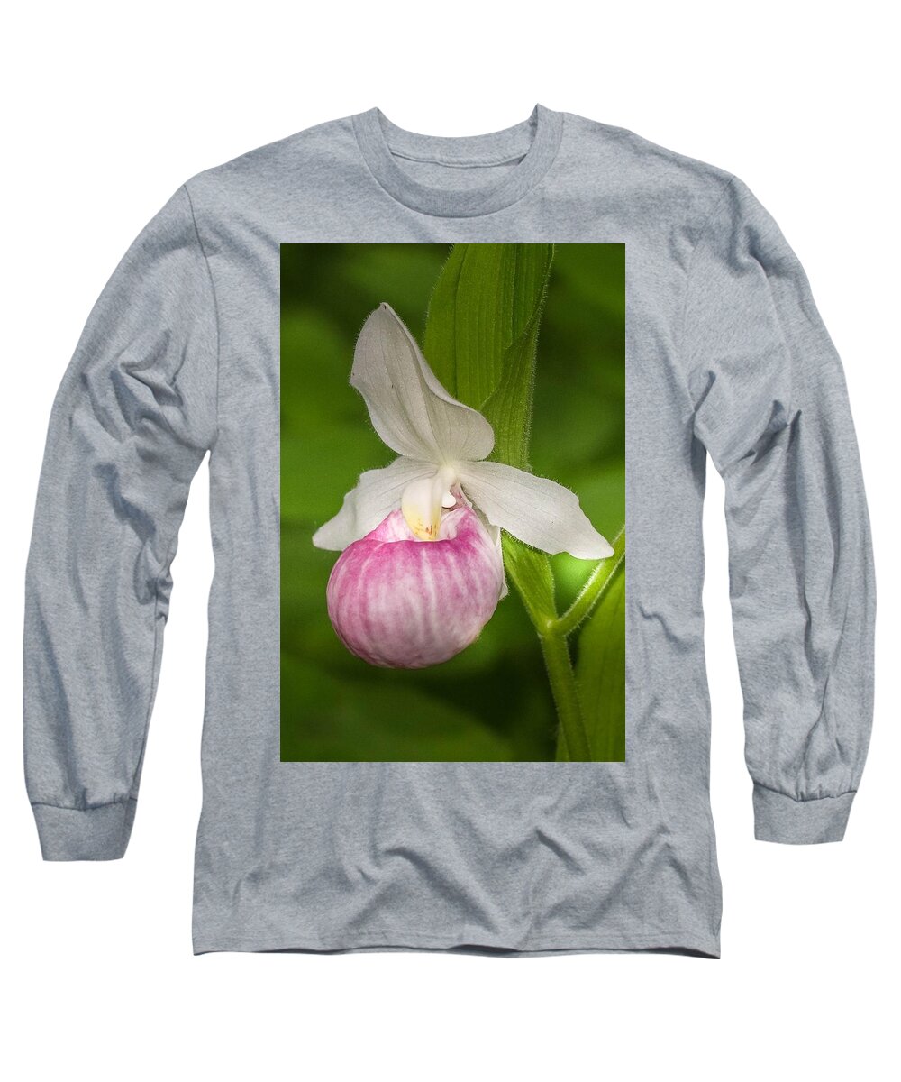 Flower Long Sleeve T-Shirt featuring the photograph Pink Lady's Slipper by Susan Rydberg