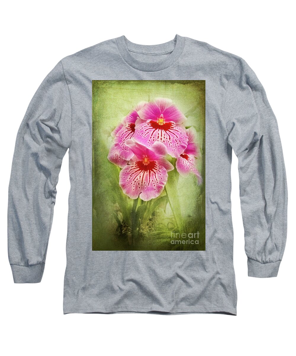 Pansy Long Sleeve T-Shirt featuring the photograph Pretty Pansy Orchid by Marilyn Cornwell