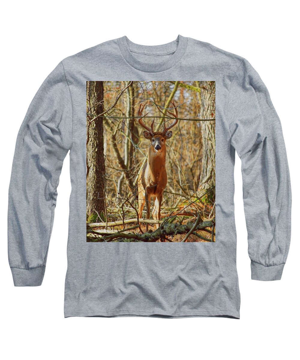 Wildlife Long Sleeve T-Shirt featuring the photograph Prince Of The Forest by Dale Kauzlaric