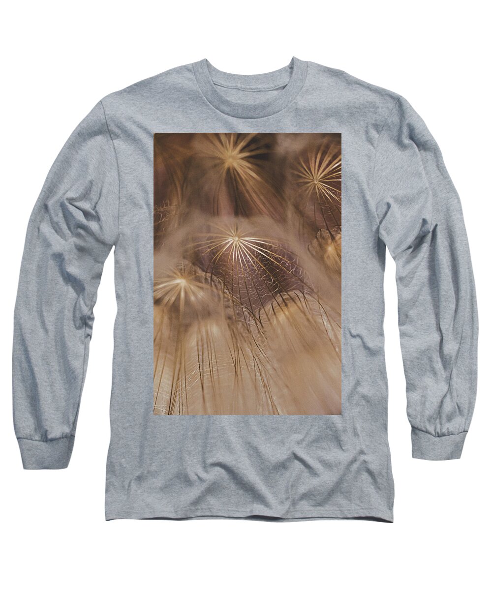 Dandelions Long Sleeve T-Shirt featuring the photograph Purple Fireworks by Iris Greenwell