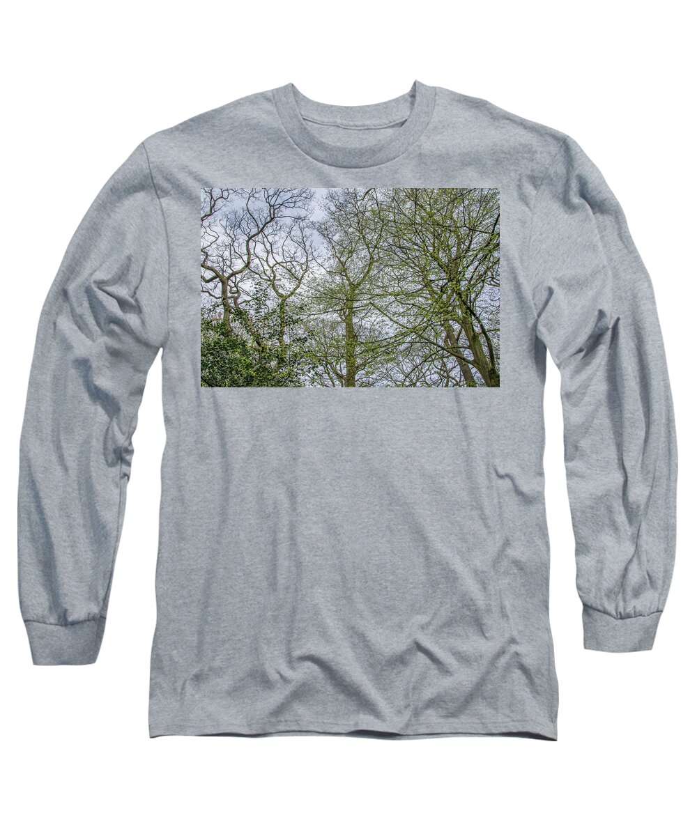 Queen's Wood Long Sleeve T-Shirt featuring the photograph Queen's Wood Trees Spring 1 by Edmund Peston