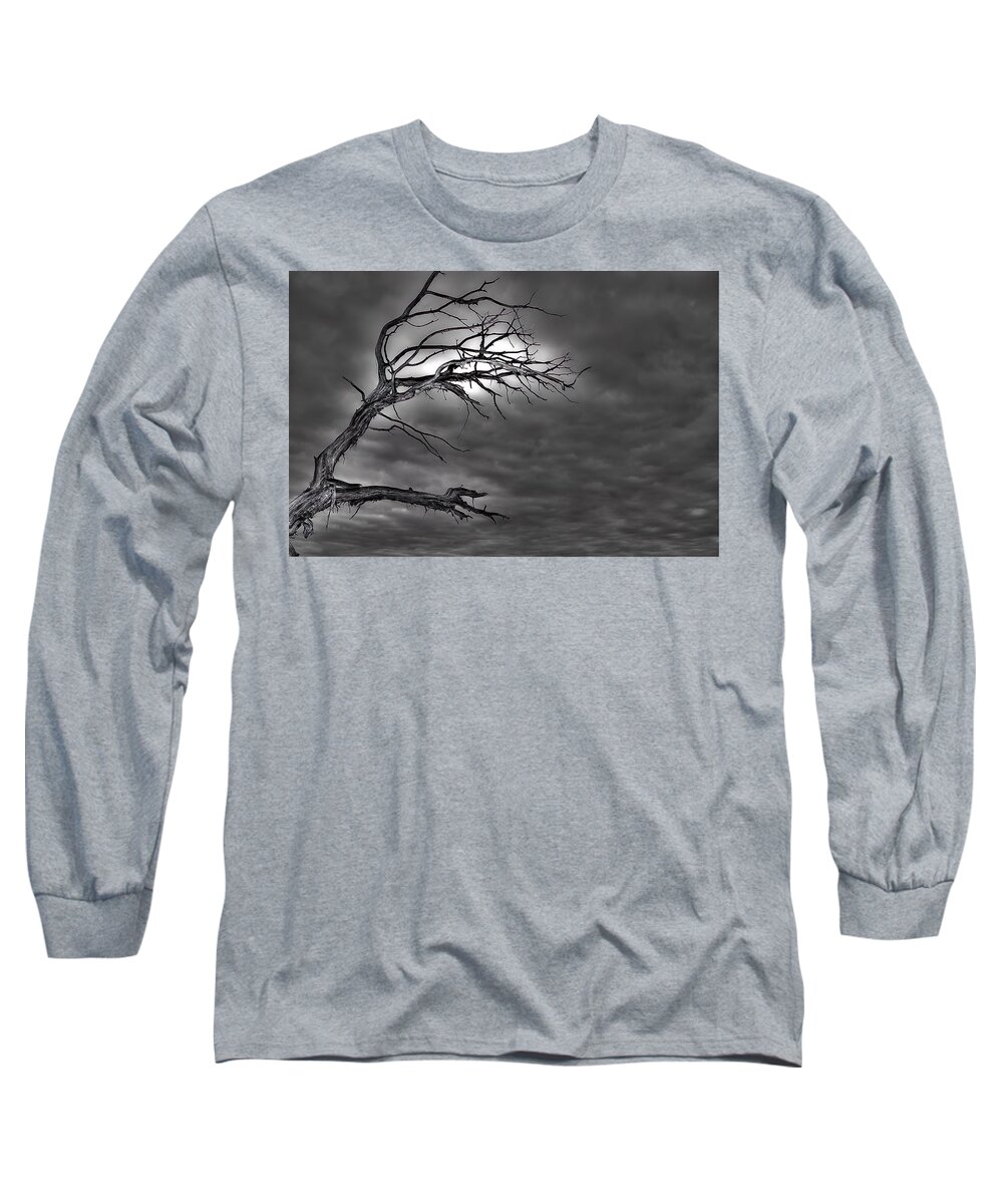 Branches Long Sleeve T-Shirt featuring the photograph Reaching by DArcy Evans