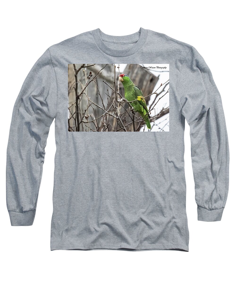 Parrot. Parakeet Long Sleeve T-Shirt featuring the photograph Red-crowned Parrot by Tahmina Watson