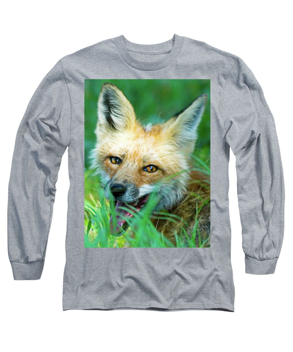 Red Fox Long Sleeve T-Shirt featuring the photograph Red Fox by Gary Beeler