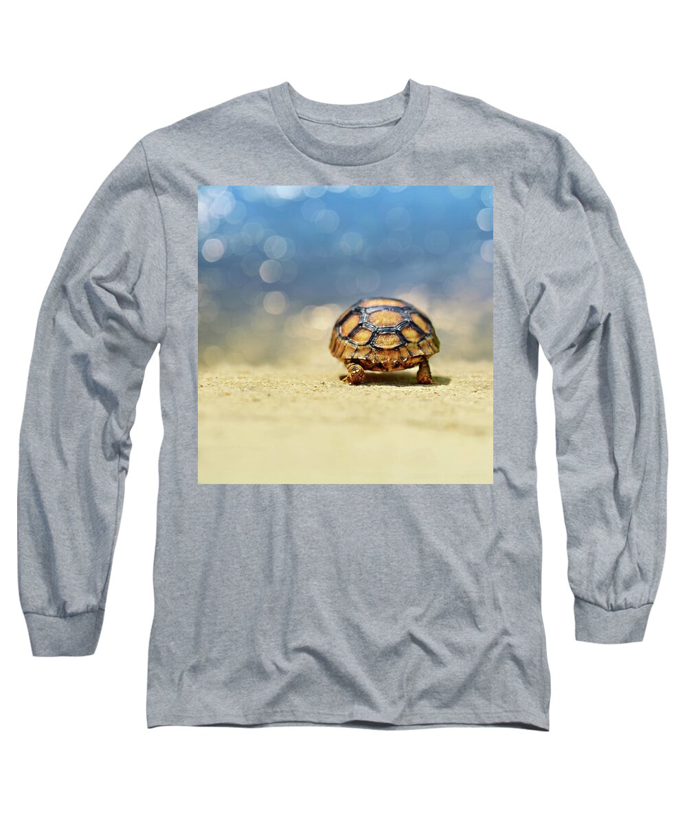 Animal Long Sleeve T-Shirt featuring the photograph Road Warrior by Laura Fasulo