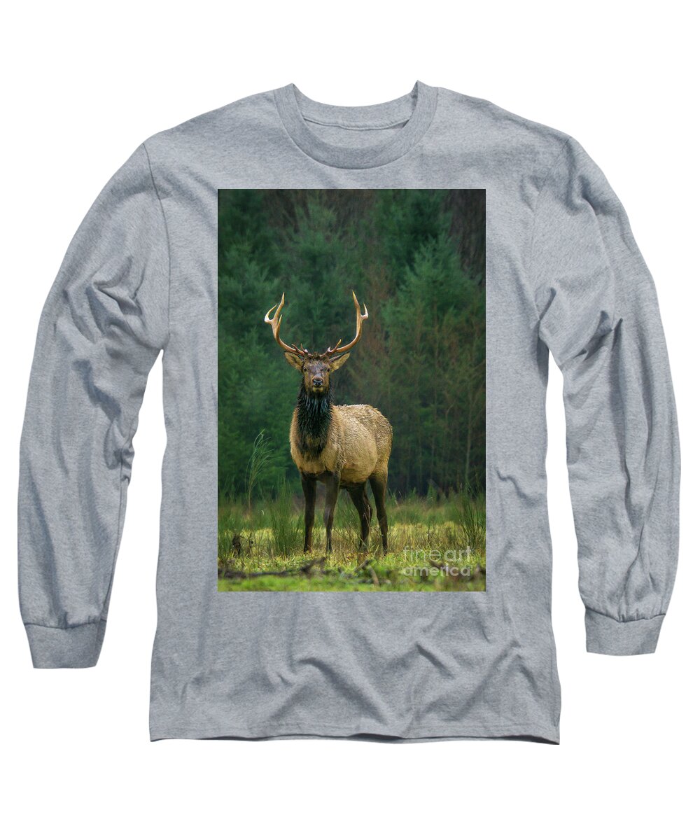 Animal Long Sleeve T-Shirt featuring the photograph Rocky Mountain Elk with Attitude by Nancy Gleason