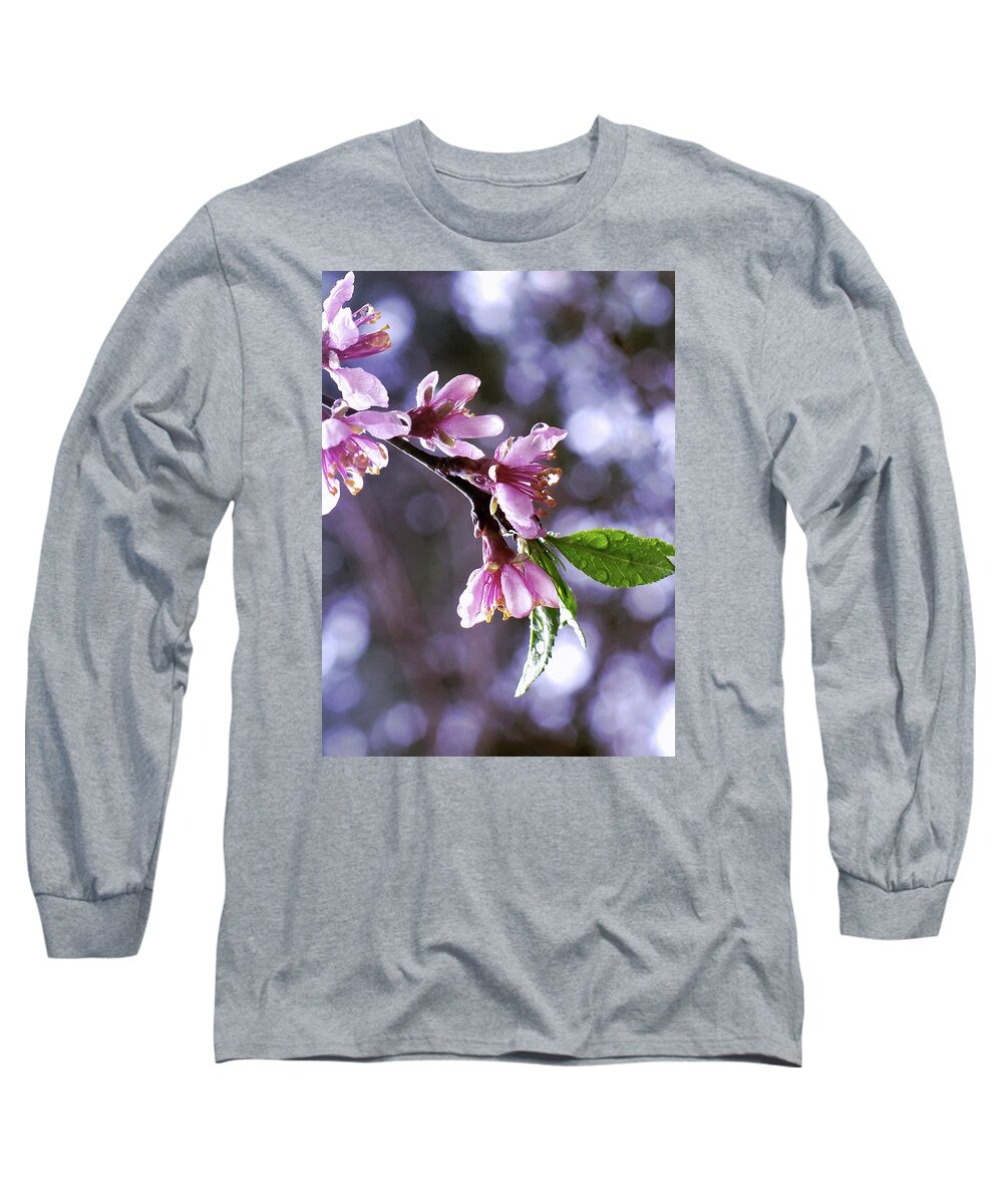 Sakura Rain Long Sleeve T-Shirt featuring the photograph Sakura Rain by Susan Maxwell Schmidt