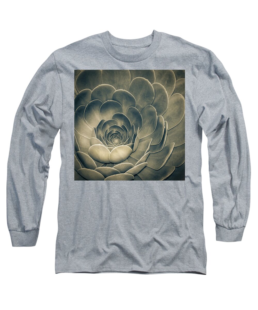 Environmental Long Sleeve T-Shirt featuring the photograph Santa Barbara Succulent #1 by Jennifer Wright