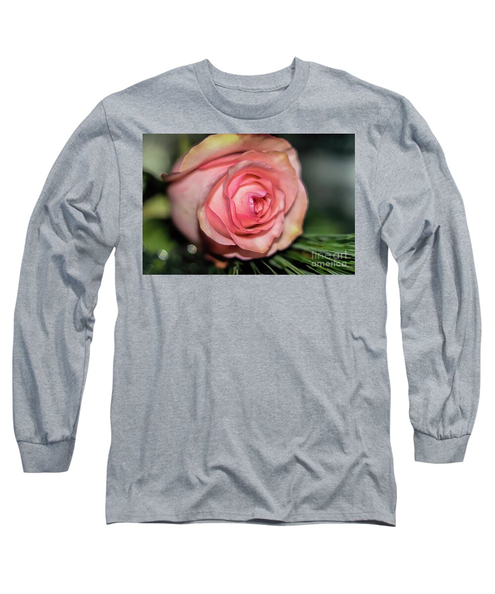 Rose Long Sleeve T-Shirt featuring the photograph Sentimentality by Diana Mary Sharpton