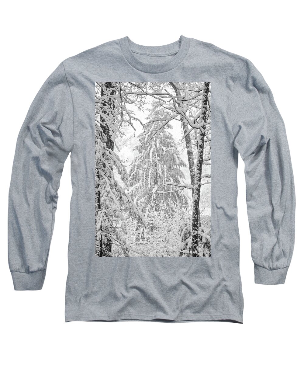 Pine Long Sleeve T-Shirt featuring the photograph Snow Pine by Steven Nelson