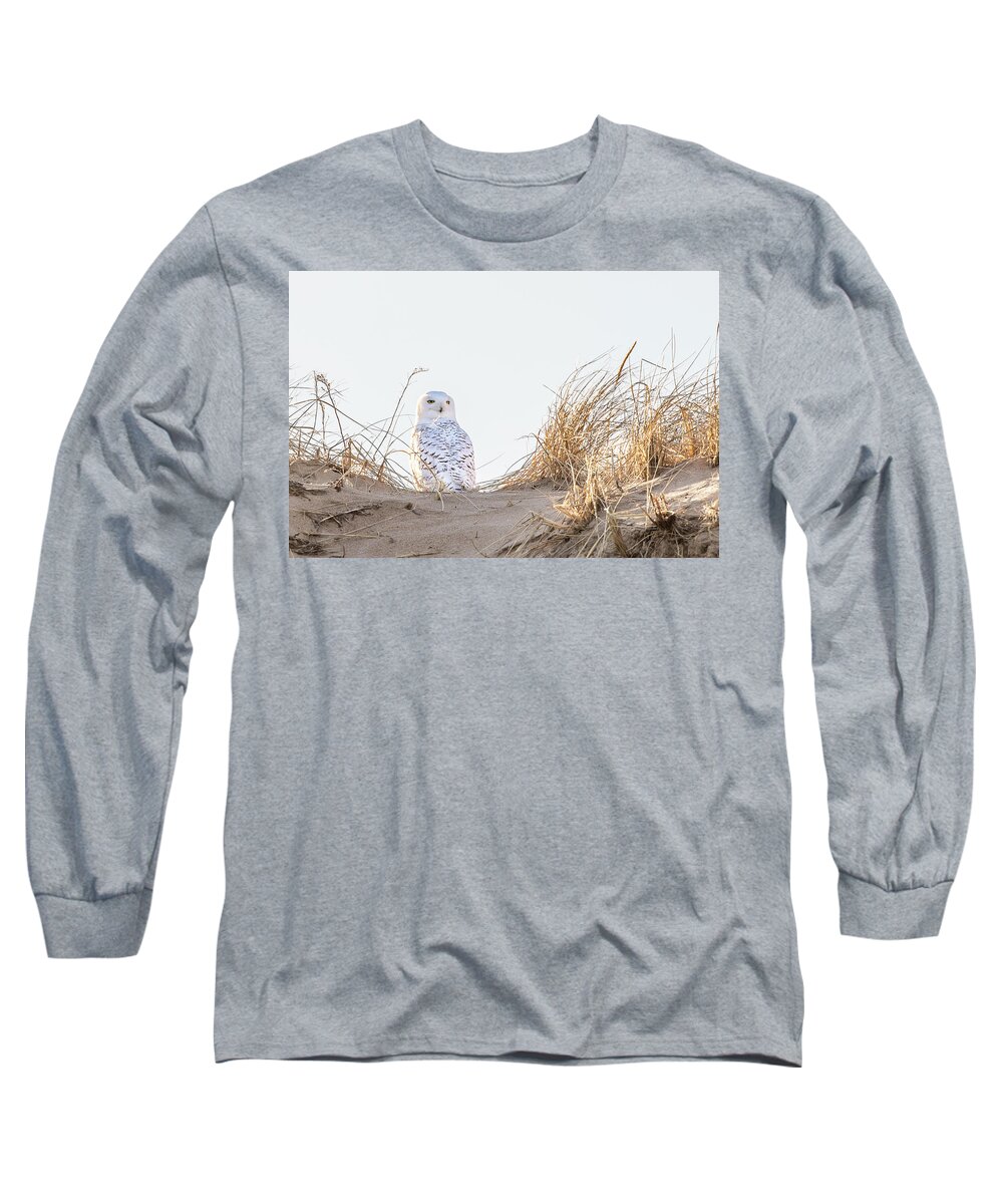 Snowy Long Sleeve T-Shirt featuring the photograph Snowy Owl in the Dunes by Denise Kopko