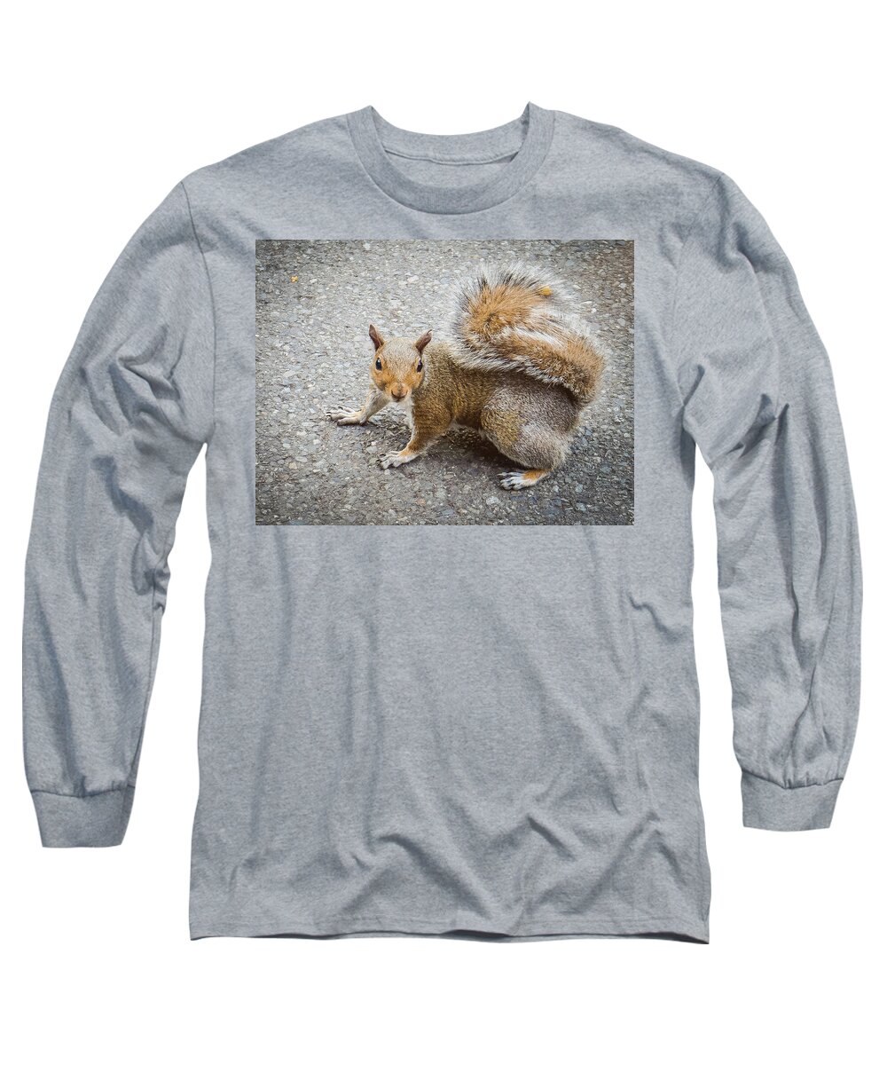 Squirrel Long Sleeve T-Shirt featuring the photograph Squirrel at the Zoo by Anamar Pictures