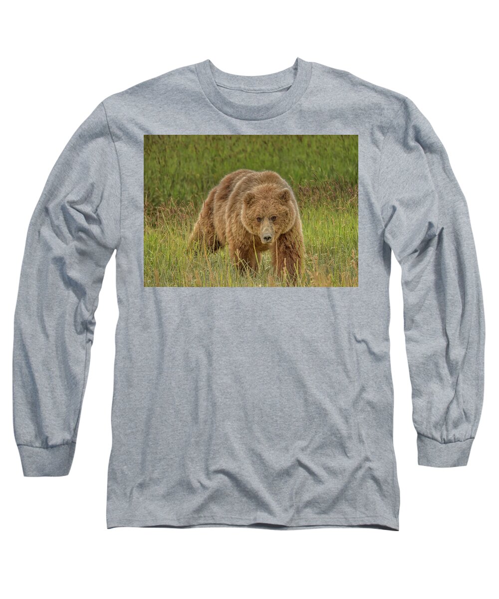 Alaska Long Sleeve T-Shirt featuring the photograph Stalk by Dana Foreman