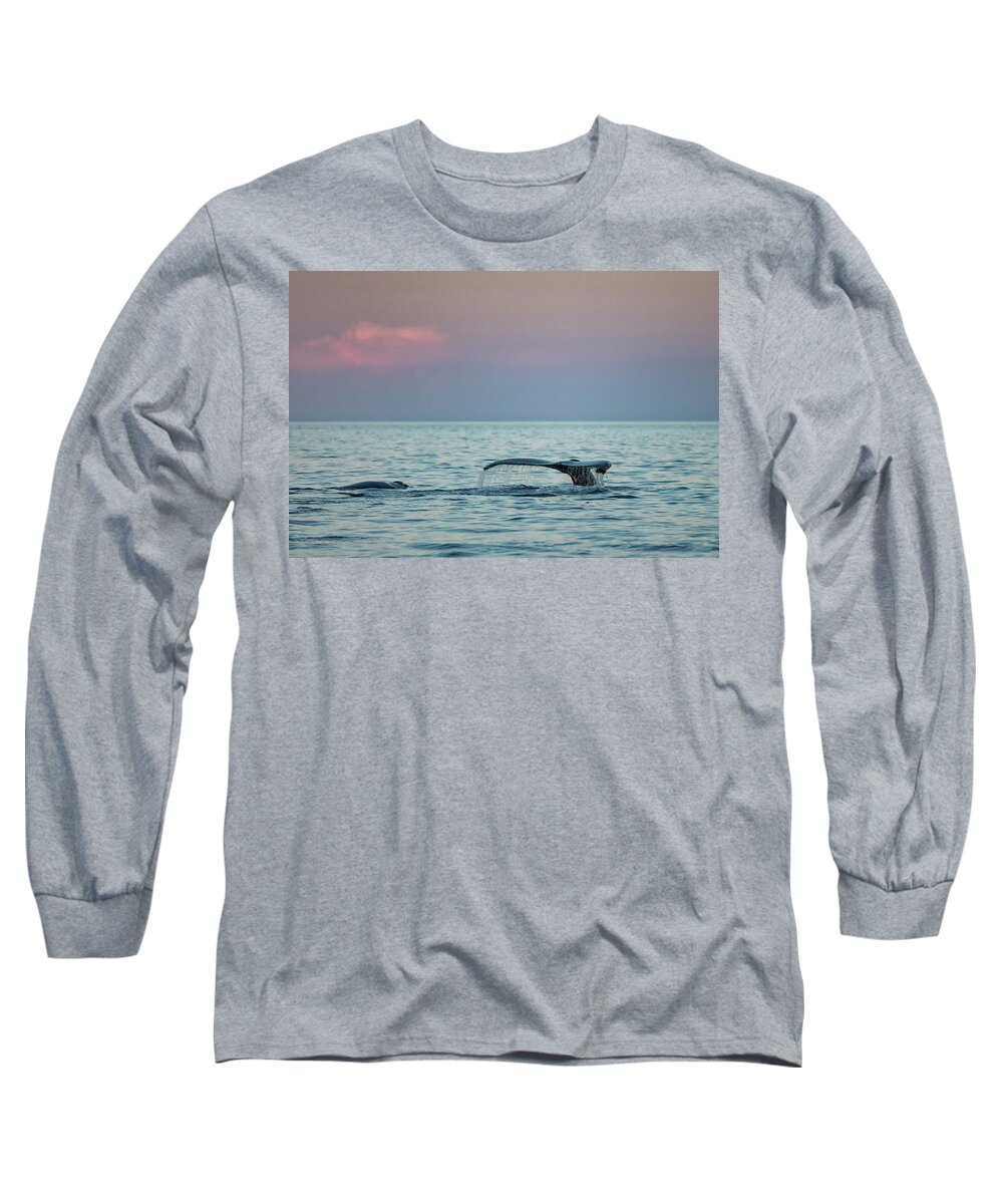 Strike Long Sleeve T-Shirt featuring the photograph Strike and Her Calf by Randy Hall