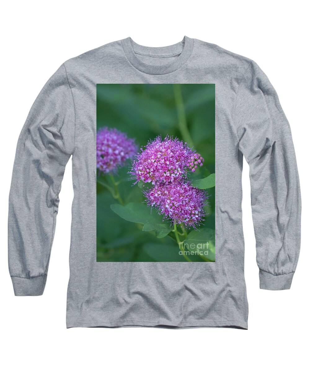 Mount Rainier National Park Long Sleeve T-Shirt featuring the photograph Subalpine Spirea Blossoms by Nancy Gleason