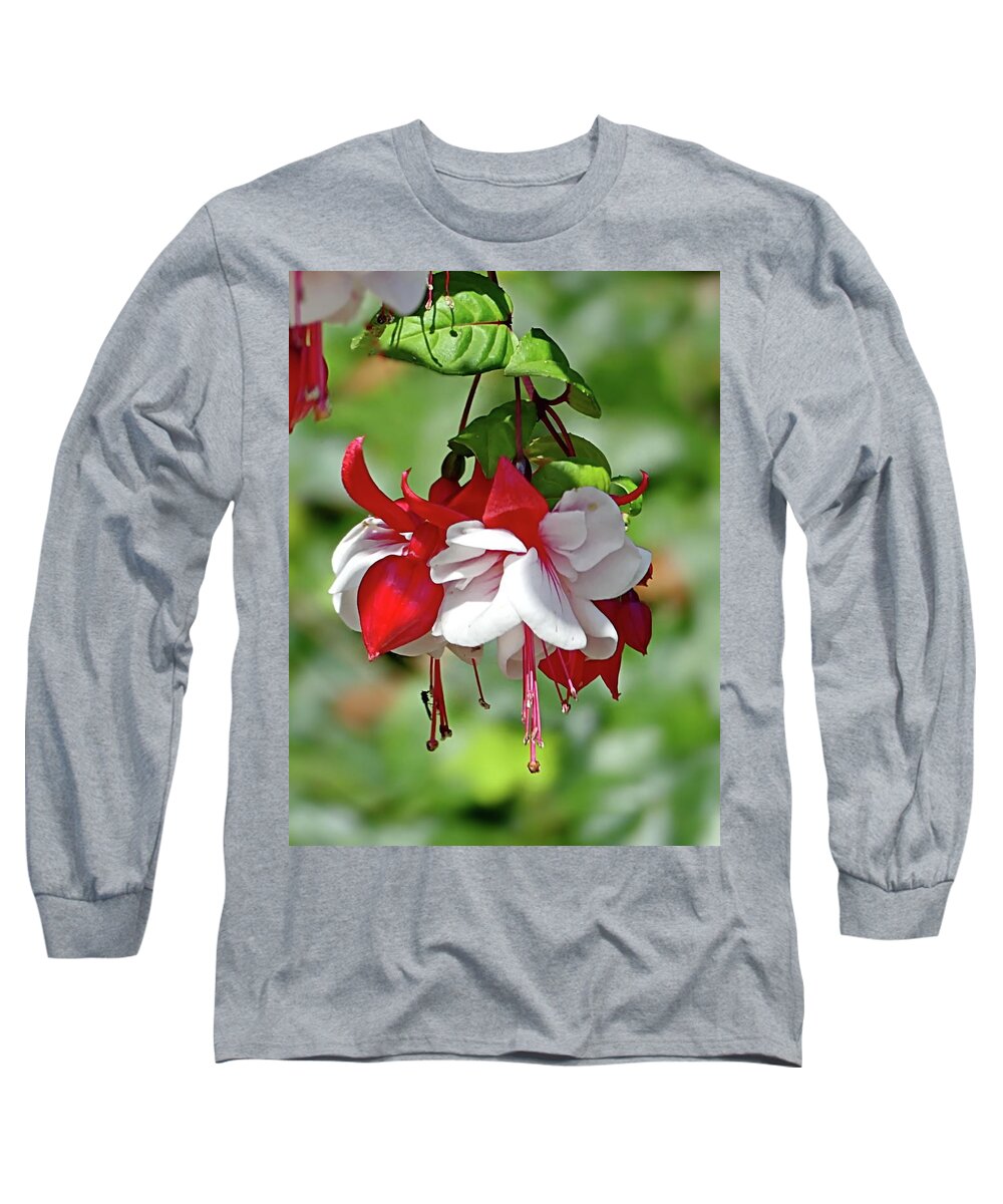 Swingtime Fuchsia Long Sleeve T-Shirt featuring the photograph Swingtime Fuchsia Plants by Lyuba Filatova