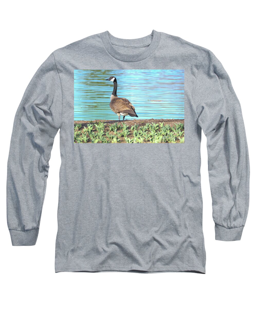 Bird Long Sleeve T-Shirt featuring the photograph Taking in the View by Bentley Davis