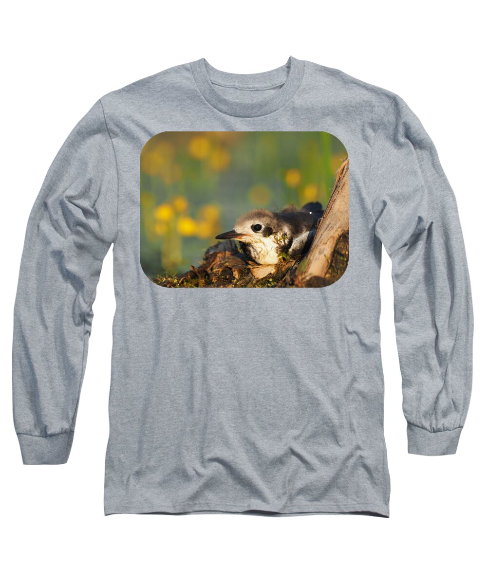 Peterson Nature Photography Long Sleeve T-Shirt featuring the photograph Tern Tern Tern by James Peterson