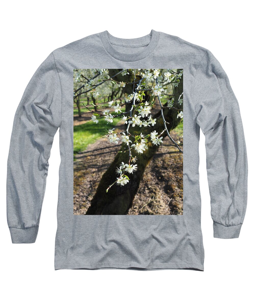 Plums Long Sleeve T-Shirt featuring the photograph The Fragile Nature of Farming by Leslie Struxness