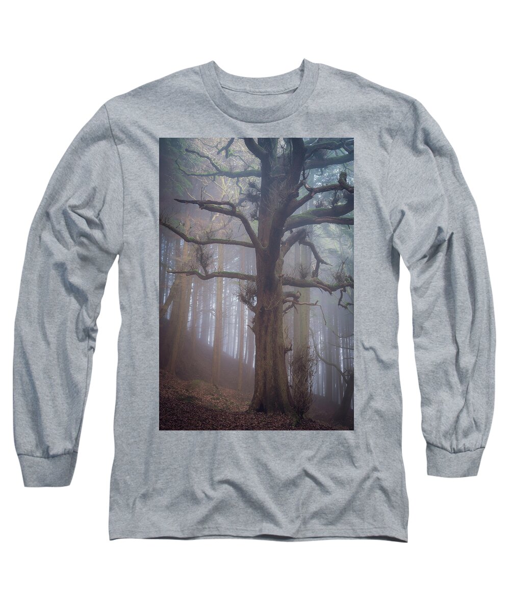 Tree Long Sleeve T-Shirt featuring the photograph The Loner by Gavin Lewis