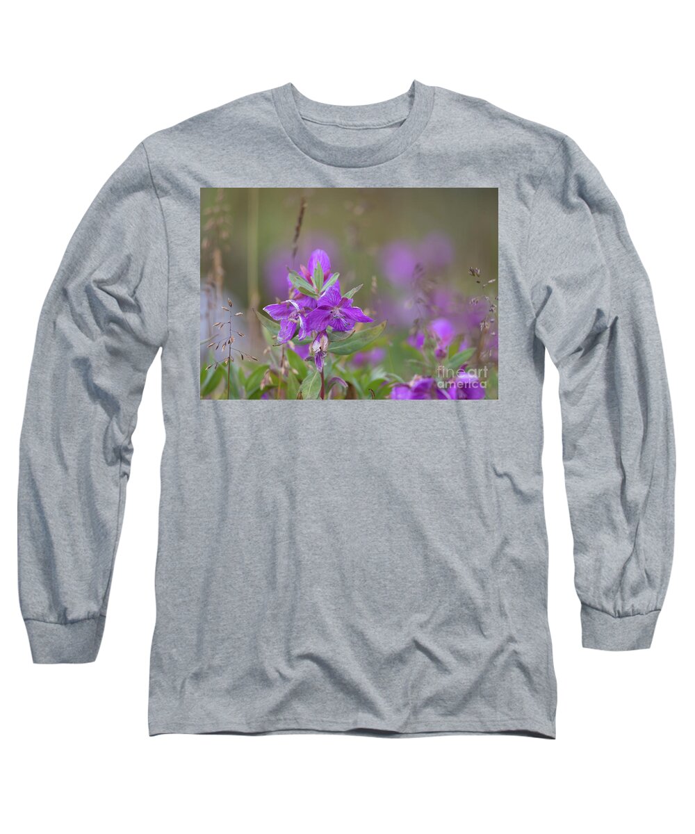 Chamaenerion Latifolium Long Sleeve T-Shirt featuring the photograph The national Flower of Greenland by Eva Lechner