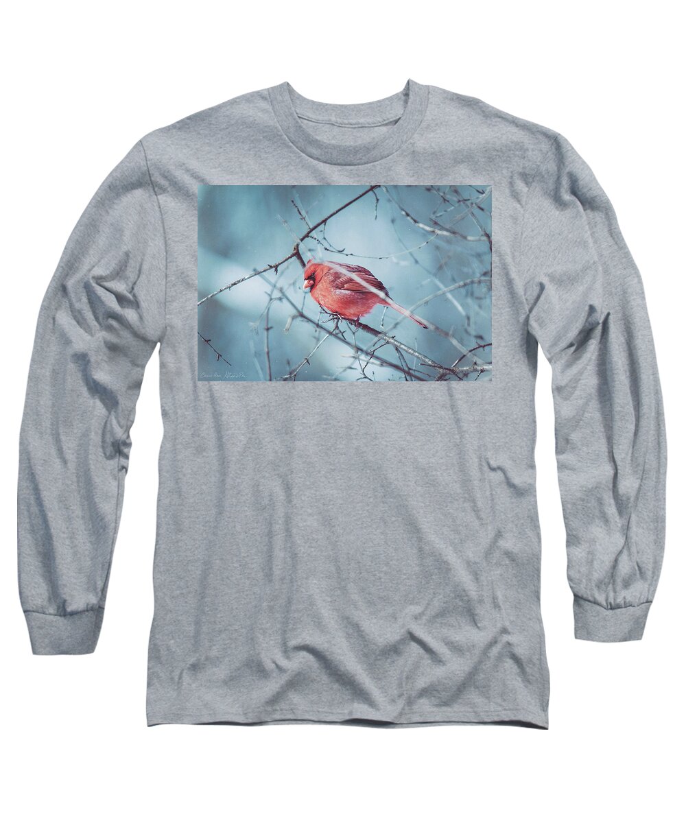Red Long Sleeve T-Shirt featuring the photograph The Visitor SIGNED by Carrie Ann Grippo-Pike