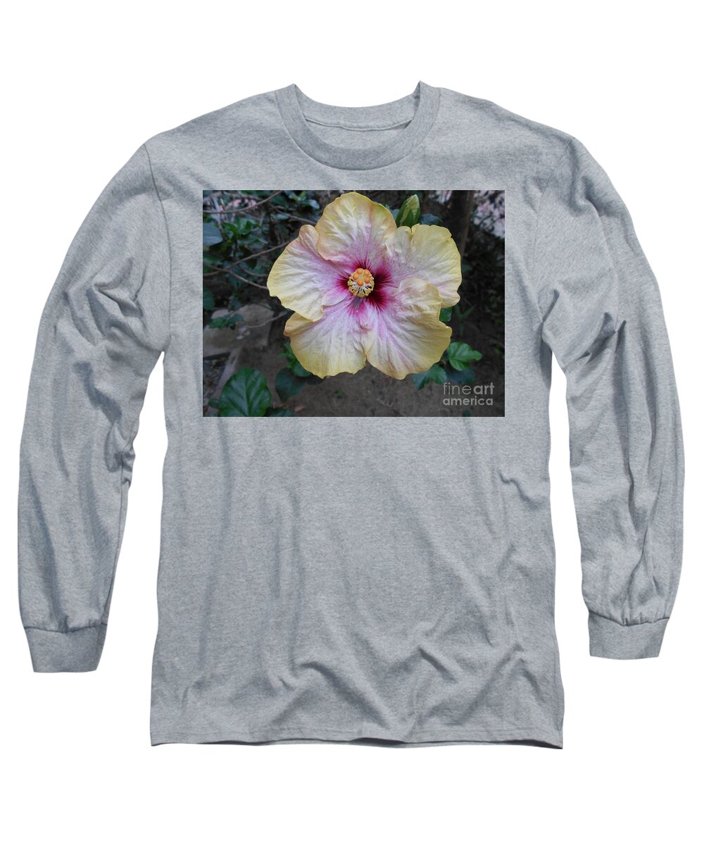 Flower Long Sleeve T-Shirt featuring the photograph Tinges of Purple by Nancy Graham
