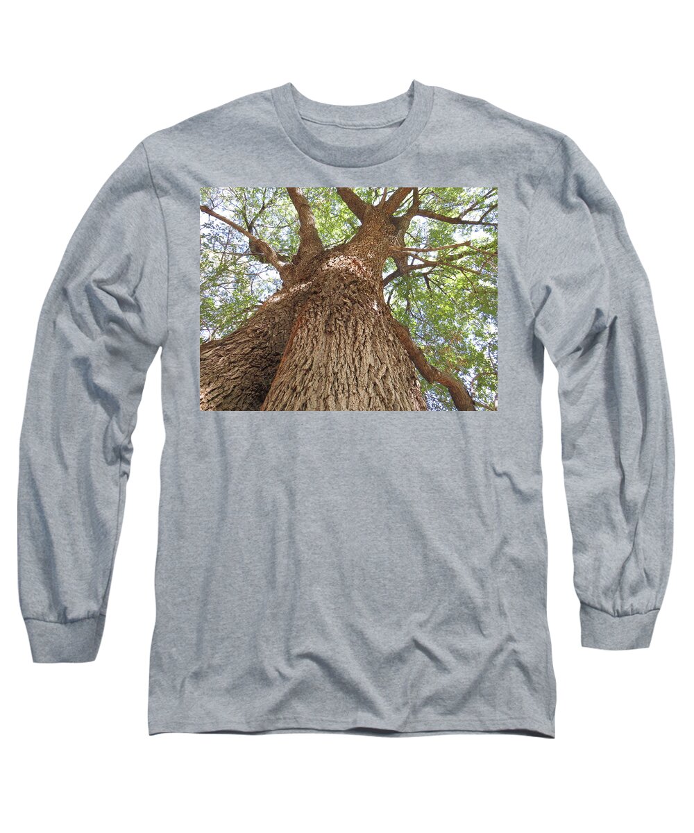  Long Sleeve T-Shirt featuring the photograph Tree Giant by Raymond Fernandez