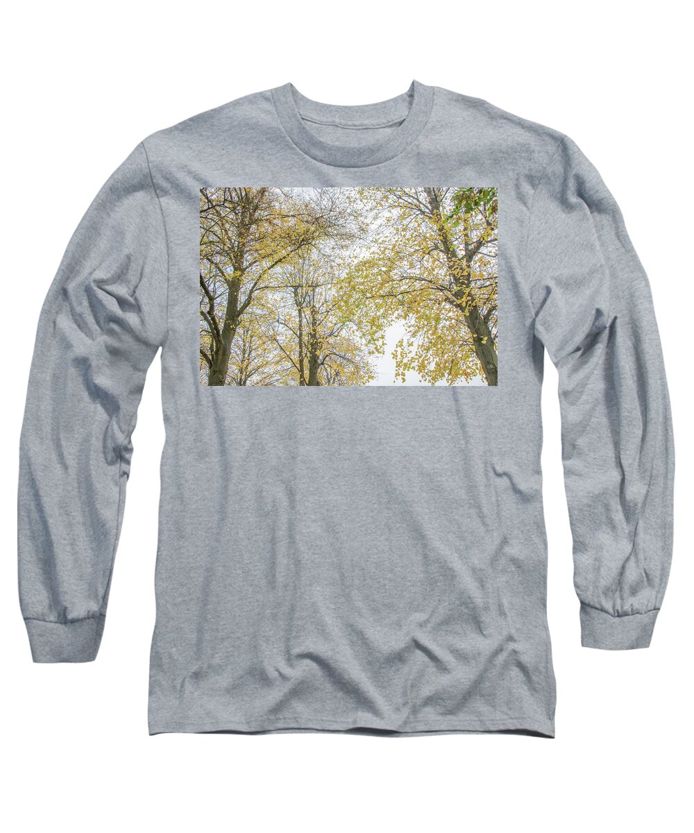 Trent Park Long Sleeve T-Shirt featuring the photograph Trent Park Trees Fall 12 by Edmund Peston