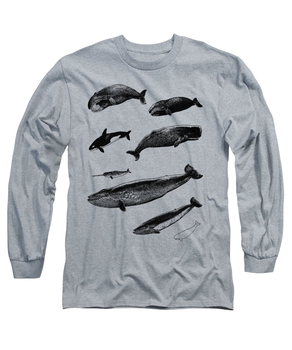 Whale Long Sleeve T-Shirt featuring the digital art Whale Chart by Madame Memento