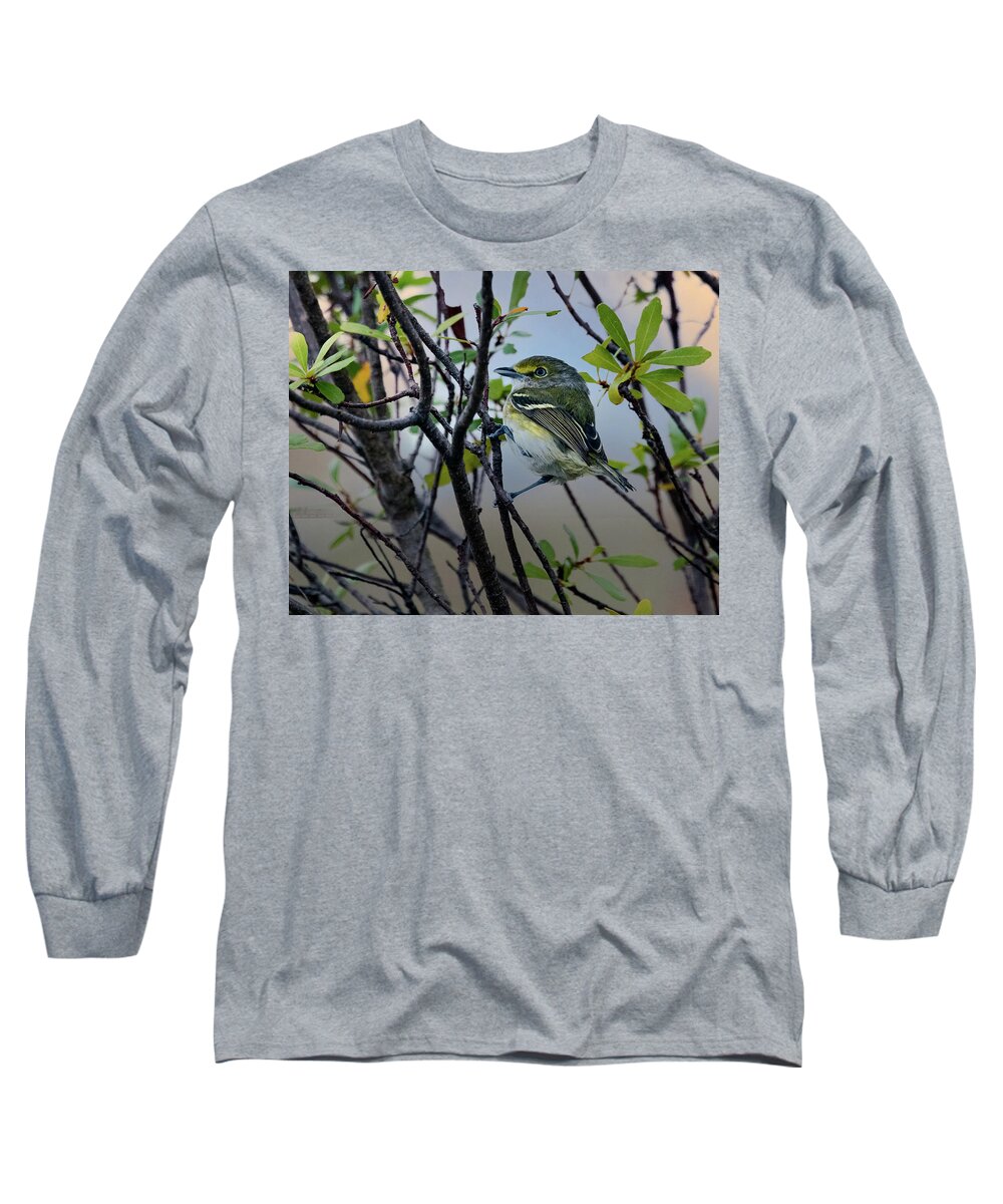 Vireo Long Sleeve T-Shirt featuring the photograph White-eyed Vireo by Jaki Miller