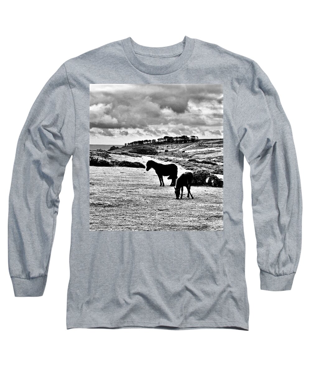Horses Long Sleeve T-Shirt featuring the photograph Wild Ponies of Dartmoor by John Anderson