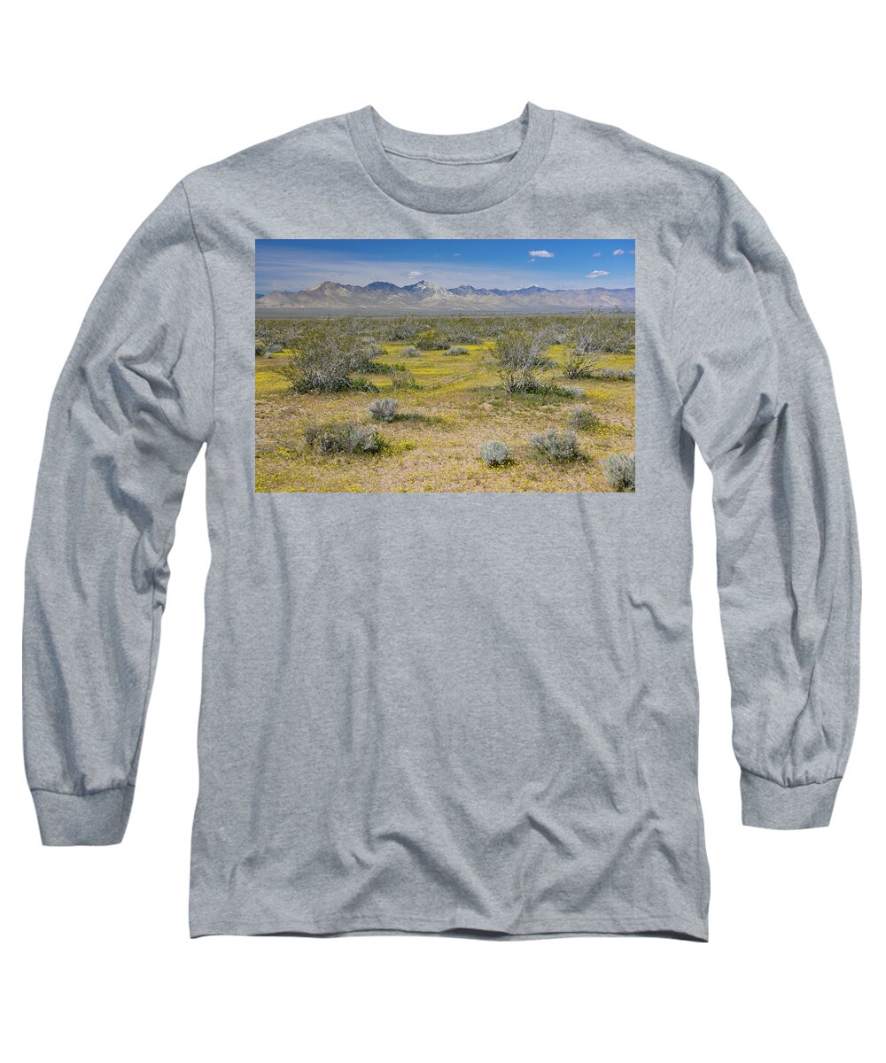 Spring Long Sleeve T-Shirt featuring the photograph Yellow Carpet on Mojave Desert by Bonnie Colgan