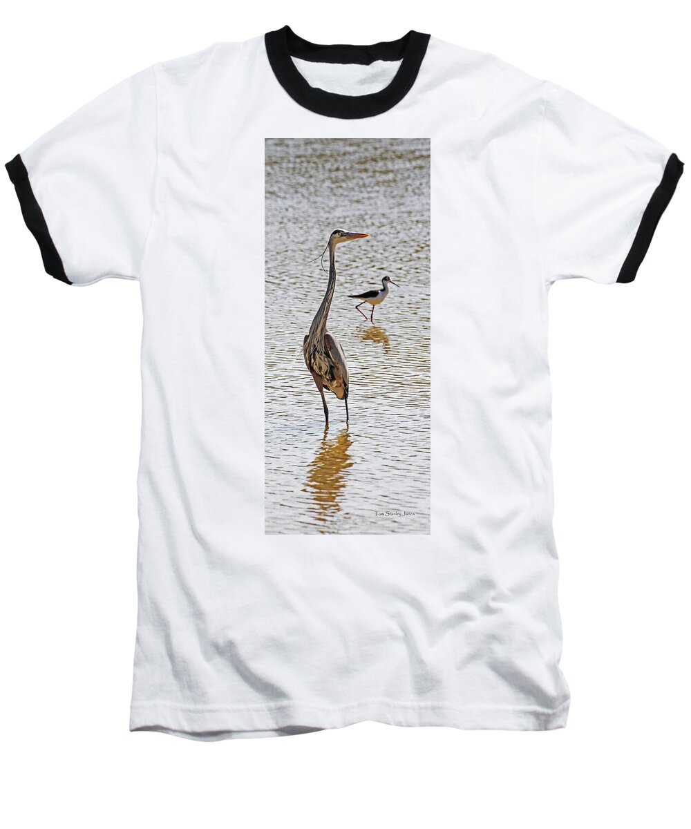 Blue Heron And Stilt Baseball T-Shirt featuring the photograph Blue Heron And Stilt #1 by Tom Janca