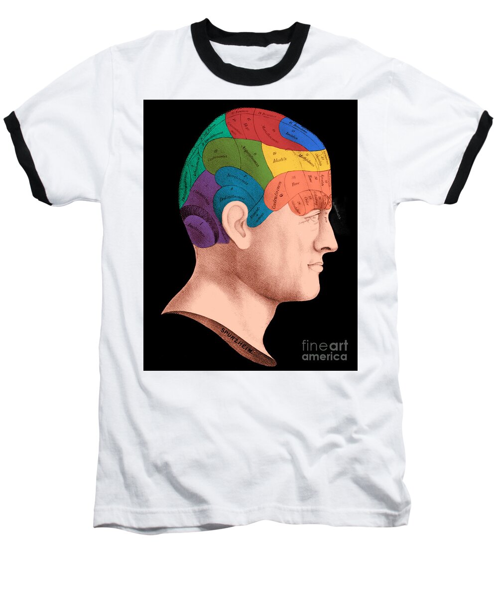 History Baseball T-Shirt featuring the photograph Phrenology #2 by Science Source