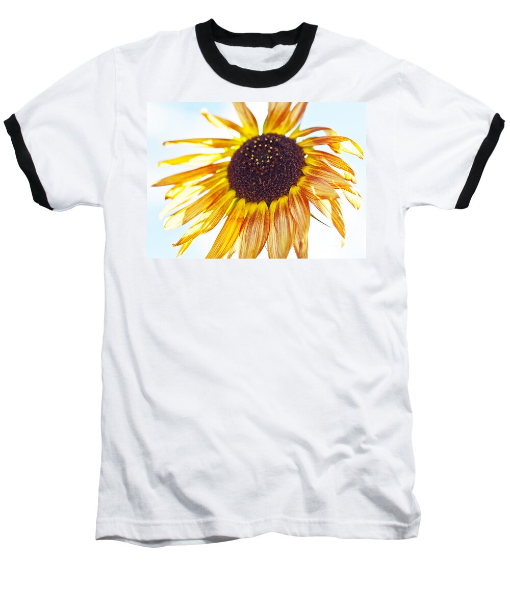 Roselynne Broussard Photography Baseball T-Shirt featuring the photograph Late Summer Sun Flower by Roselynne Broussard