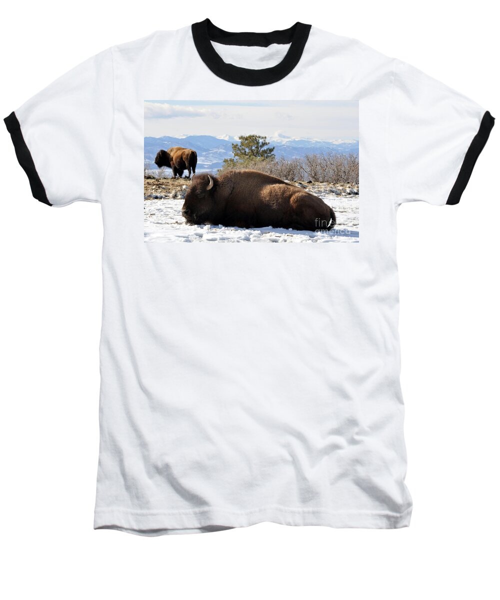 Buffalo Baseball T-Shirt featuring the photograph 302 by Anjanette Douglas
