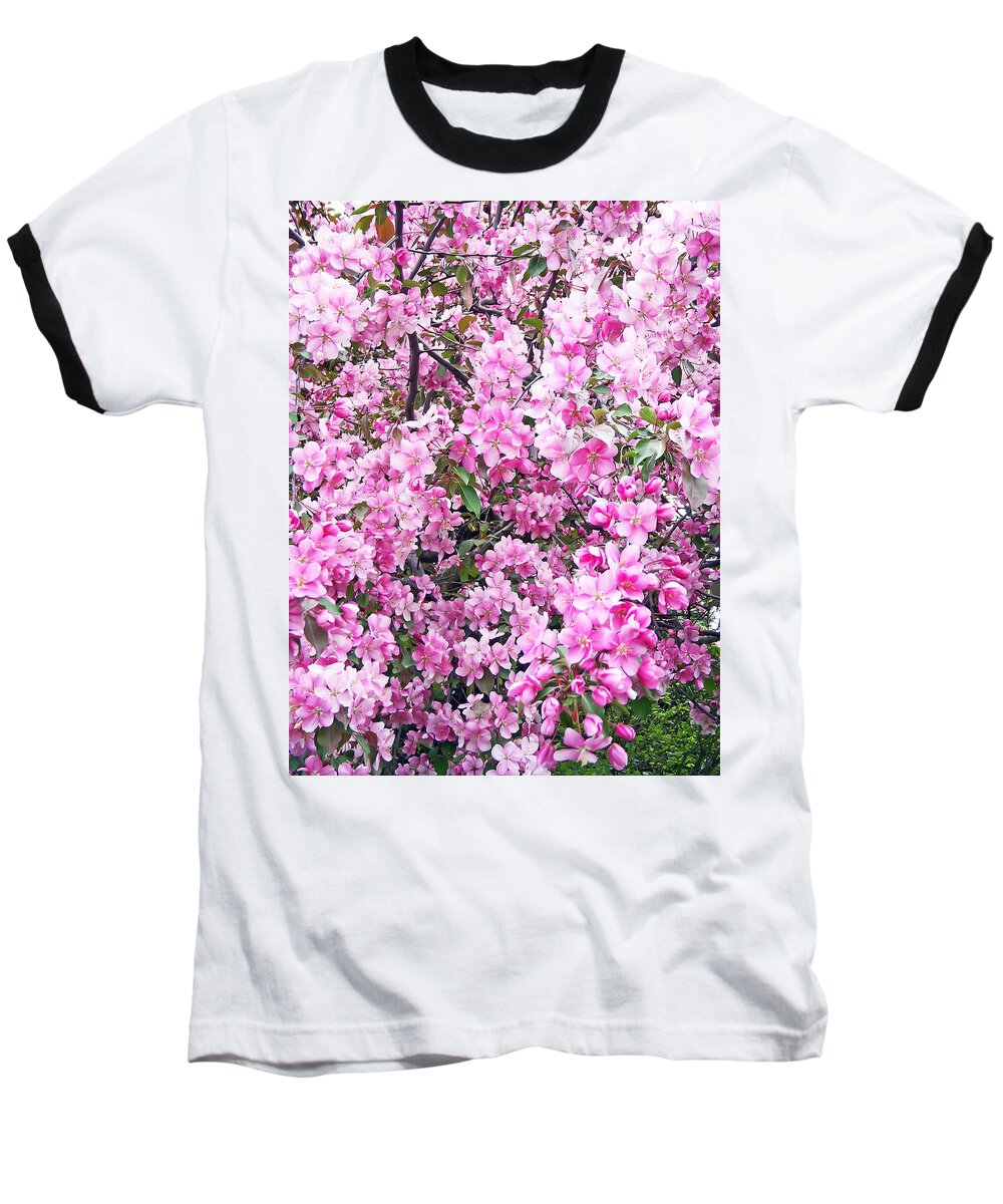 Tree Baseball T-Shirt featuring the photograph Apple blossoms by Aimee L Maher ALM GALLERY