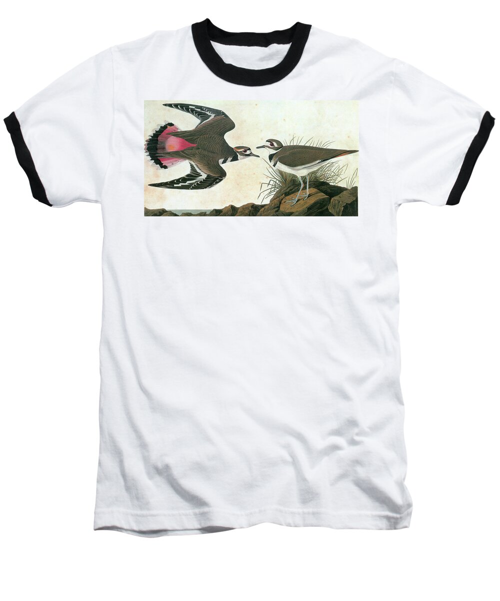 1827 Baseball T-Shirt featuring the painting Audubon Killdeer by Granger