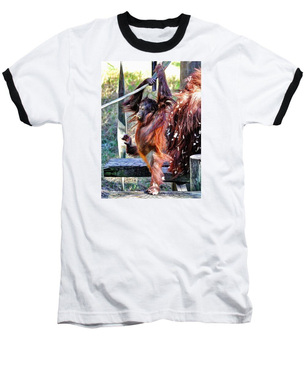 Baby Orangutan Baseball T-Shirt featuring the photograph Baby Orangutan by Savannah Gibbs