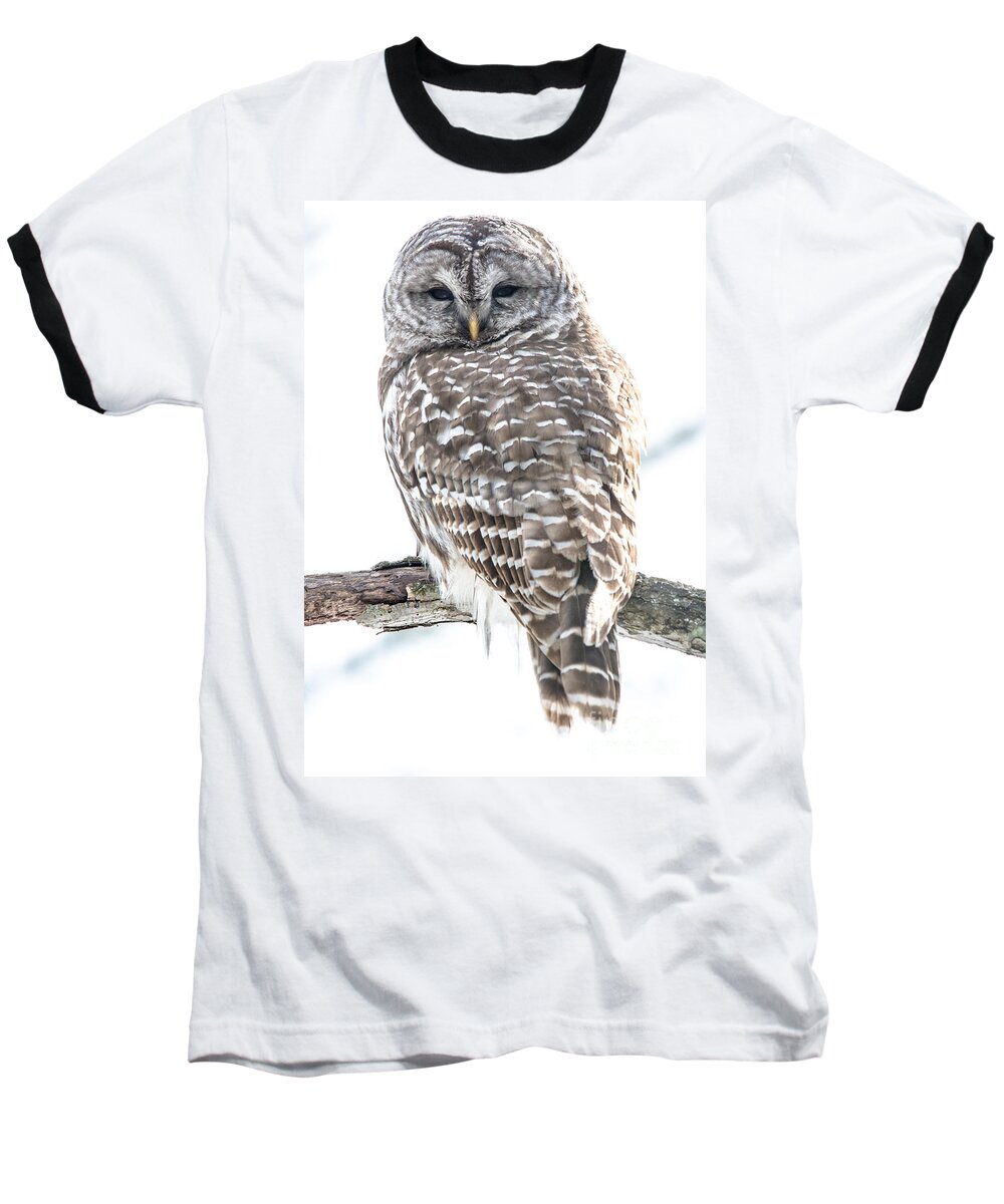 Nature Baseball T-Shirt featuring the photograph Barred Owl2 by Cheryl Baxter