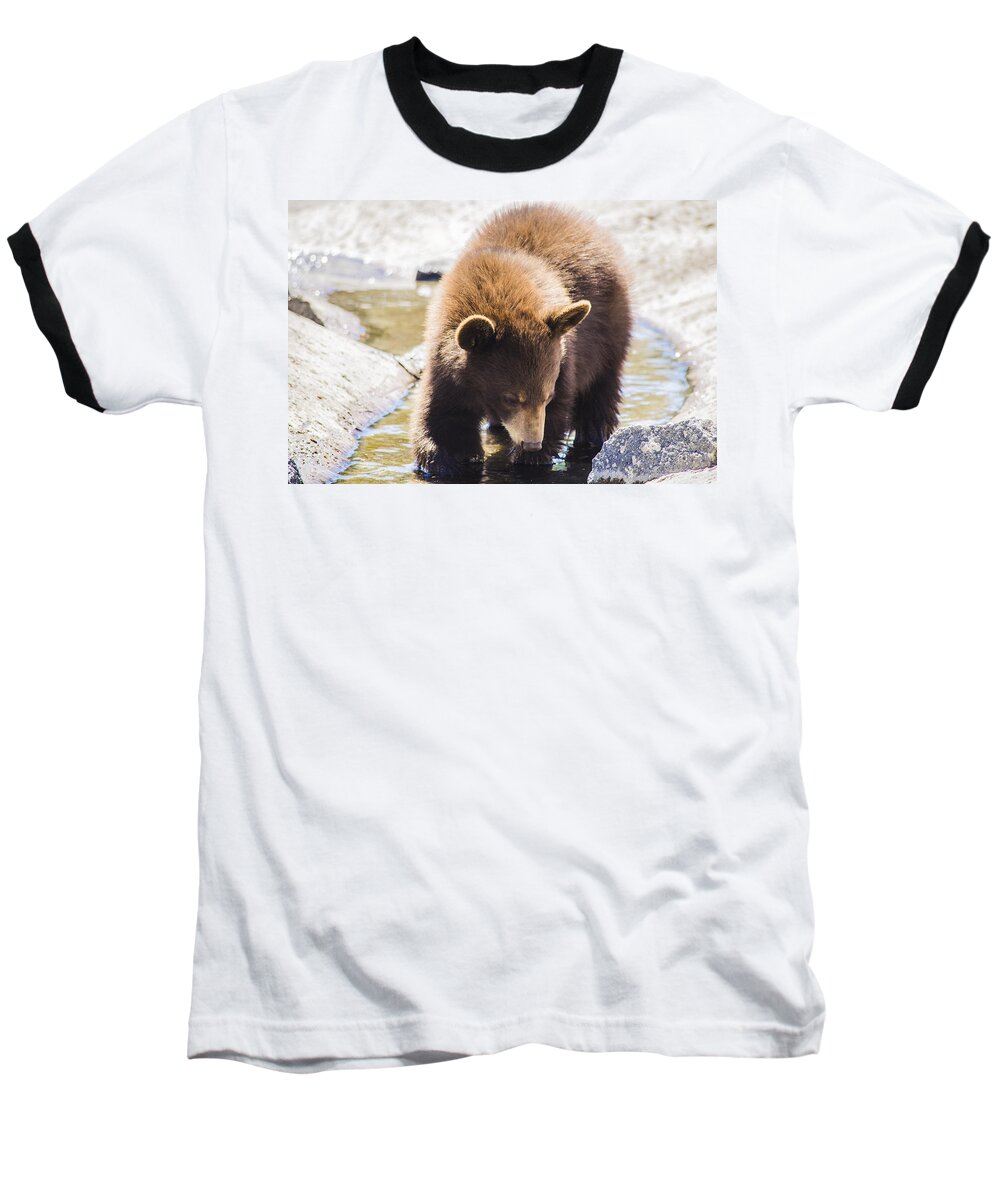 Bear Baseball T-Shirt featuring the photograph Bear Cub by Spencer Hughes