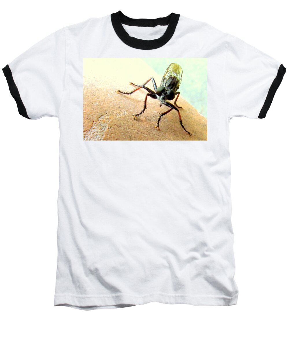 Bugs Baseball T-Shirt featuring the photograph Bearded Robber Fly by Lori Lafargue