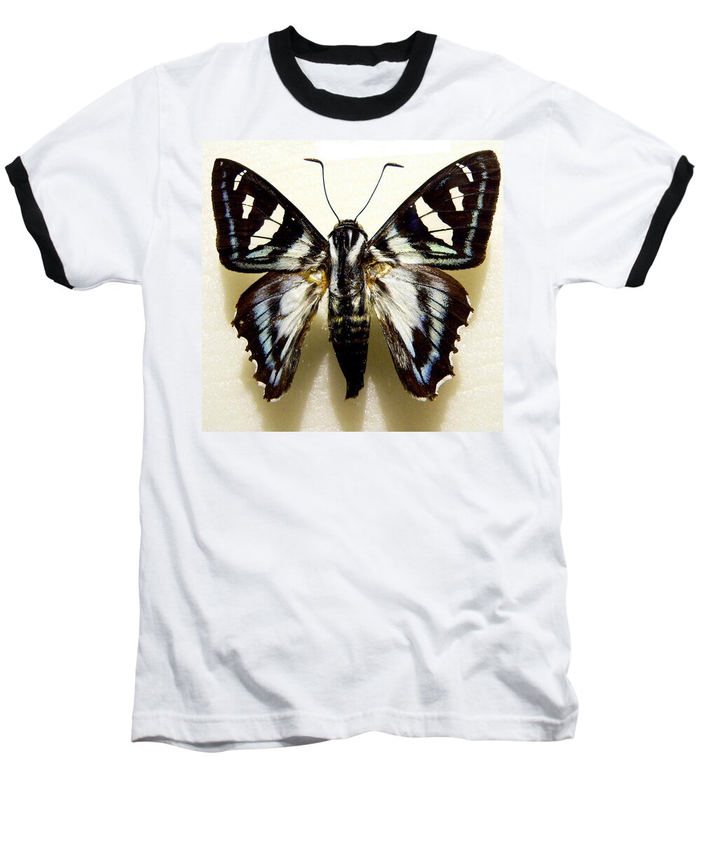 Butterfly Baseball T-Shirt featuring the photograph Black and White Moth by Rosalie Scanlon
