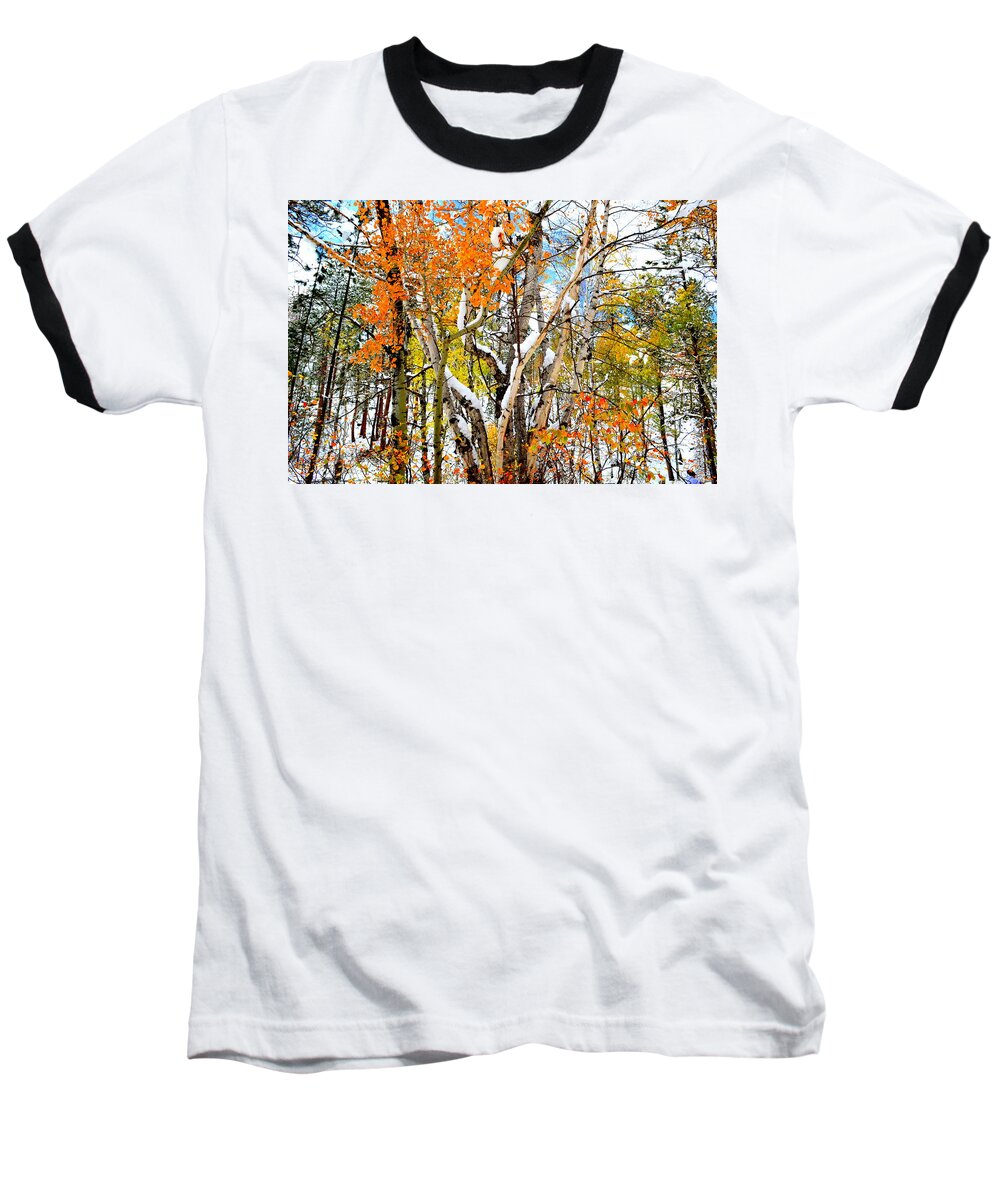 Black Hills Of South Dakota Baseball T-Shirt featuring the photograph Black Hills Entanglement by Clarice Lakota