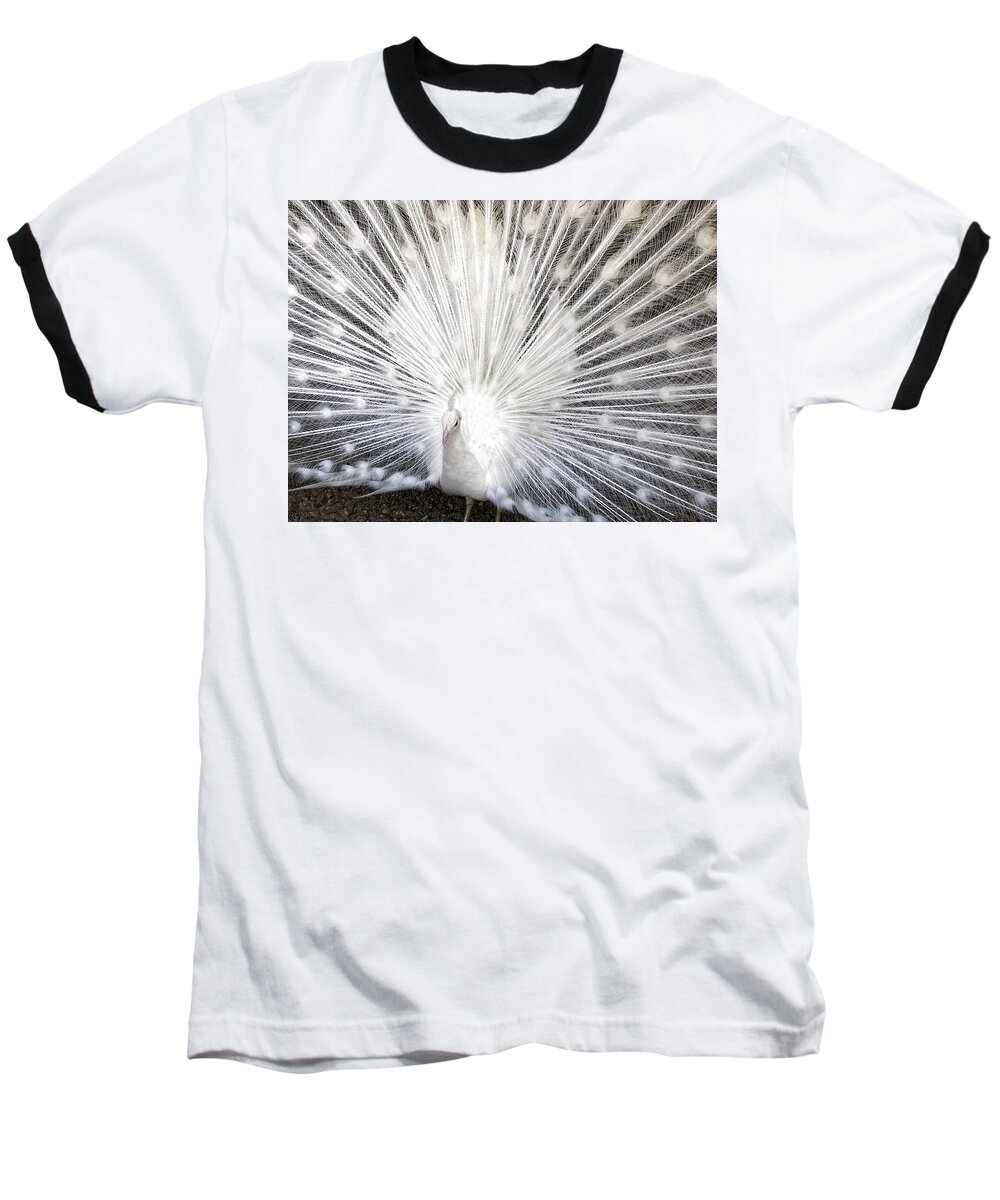 Peacock Baseball T-Shirt featuring the photograph Booya by Tammy Espino