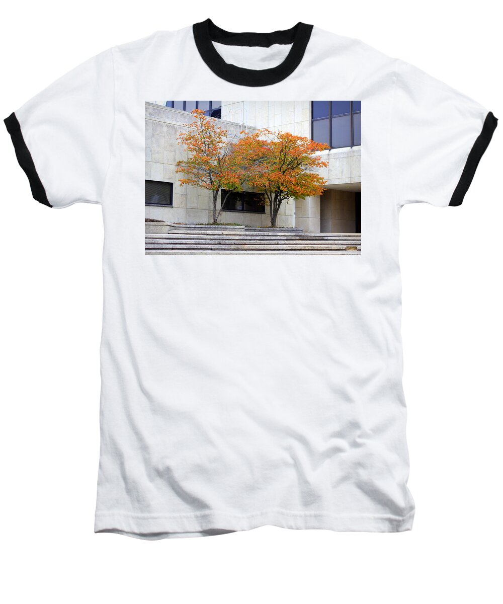 Trees Baseball T-Shirt featuring the photograph Burst of Color by Viviana Nadowski